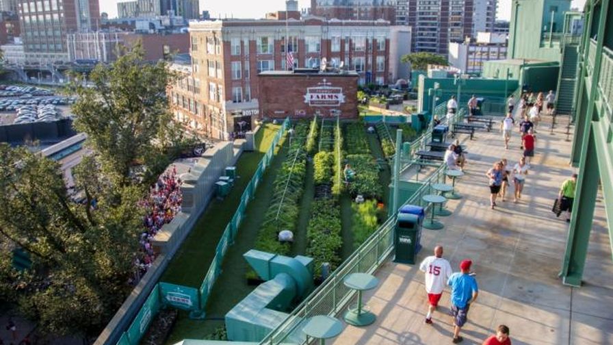 Green City Growers