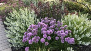 Get Personal and Professional Pointers in Perennials Production