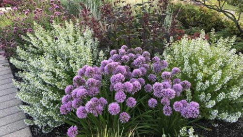 Plans in Place for 2022 Perennial Plant Symposium