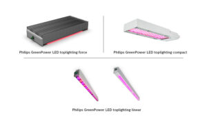 Signify Expands Toplighting Range With Goal of Increasing Greenhouse Yields
