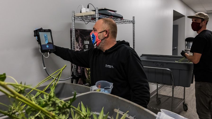 Trym Touchless Harvesting at FloraCal