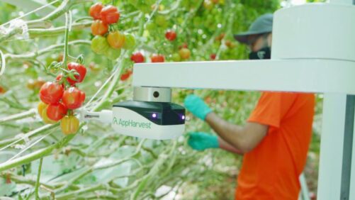 Greenhouse Growing Game Changer? AppHarvest Plugs into Artificial Intelligence