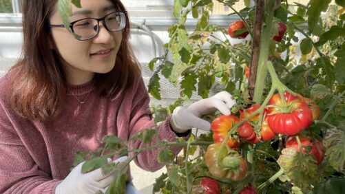 Decoding the Complex Biochemical Communication Networks of Petunias