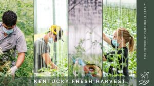 Your Workers Can Be Part of Your Greenhouse Food Safety Plan