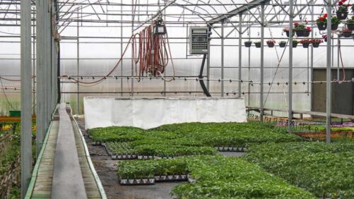 Hydrofarms Announces Acquisition of Plant Nutrient Supplier