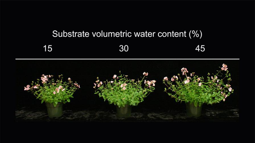 PGR study water volume graphic