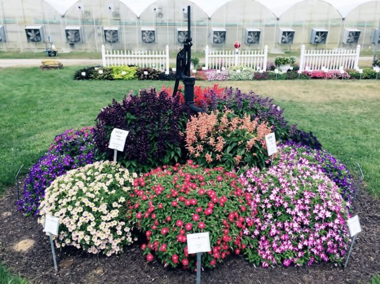 Pell Greenhouses