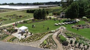 Perennials Aplenty! Get the Detail on Pop-Up Perennials Events Near You