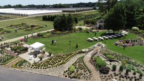 Perennials Aplenty! Get the Detail on Pop-Up Perennials Events Near You