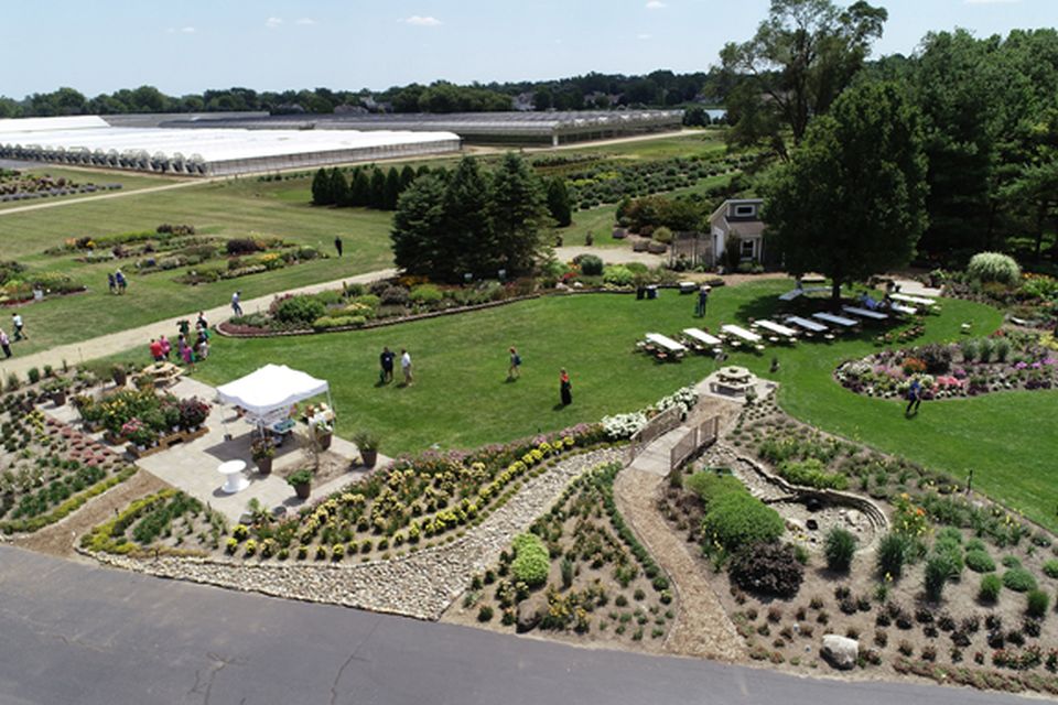 Walters Gardens 2021 Perennial Plant Association