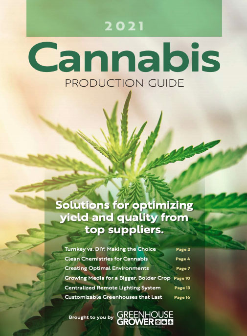 Cannabis
