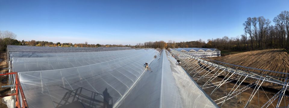 Dickman Farms