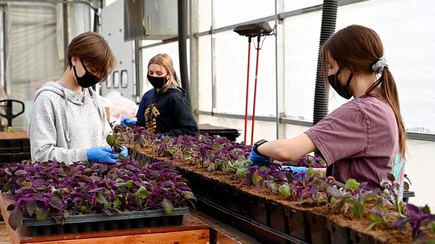 Preventing Airborne Disease MSU