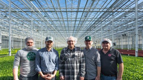 Revol Greens Leads the Way in Lettuce Innovation