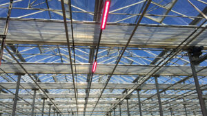 How Shading Can Help You Manage Spring Greenhouse Heat Intensity