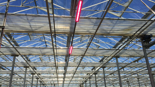 How Shading Can Help You Manage Spring Greenhouse Heat Intensity