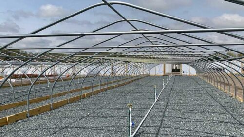 The Top News Stories of the Controlled-Environment Industry in 2021