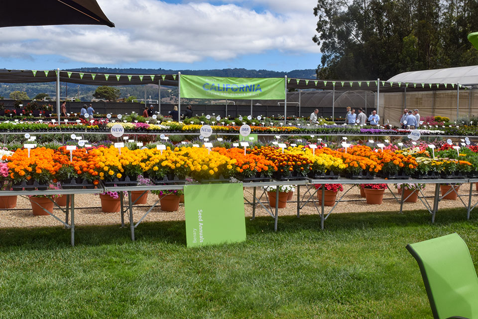 Allan CAST 2021 California Spring Trials
