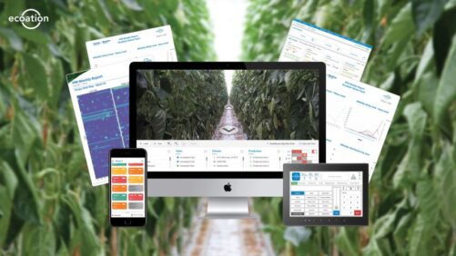 Biobest Makes Investment in Robotics and Artificial Intelligence