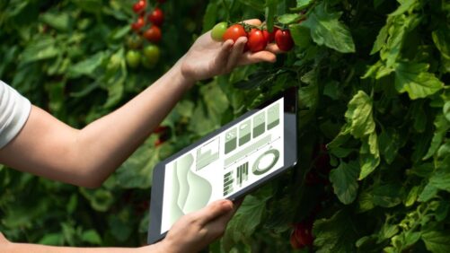 Digital Horticulture: An Important Step Toward Autonomous Growing