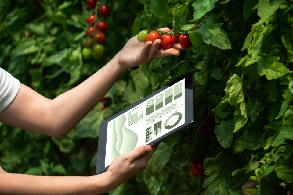 Figure 1 Ken Tran Business Intelligence for Growers Digital Horticulture