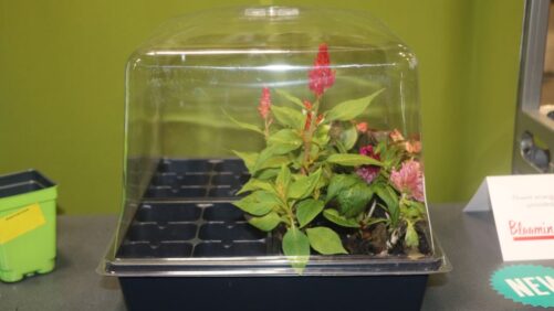 New Products That Stole the Spotlight at Cultivate’21