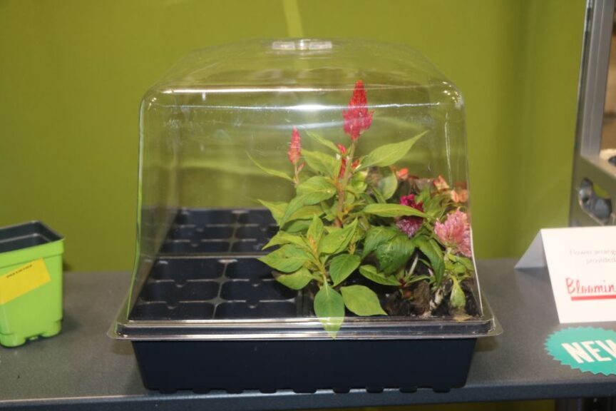 7-Inch Vented Humidity Dome for a Half Flat Tray from Landmark Plastic