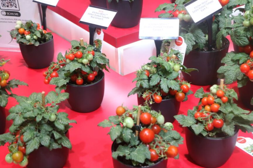 Why Consumers Value Health Benefits of Plants, and How You Can Respond