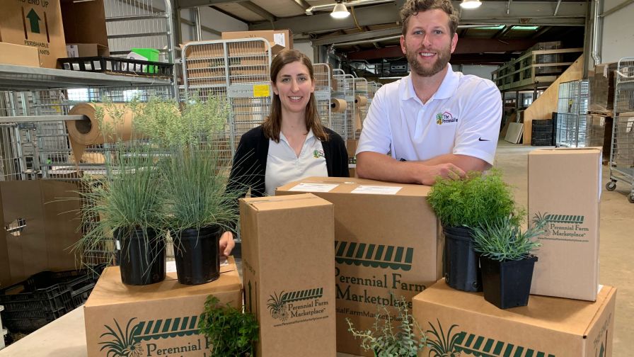 Perennial Farm E-Commerce