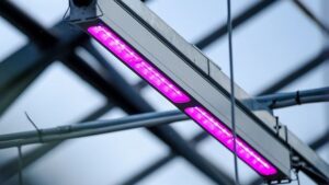 Lighting Company Offers Help in Facilitating Utility Rebate Applications