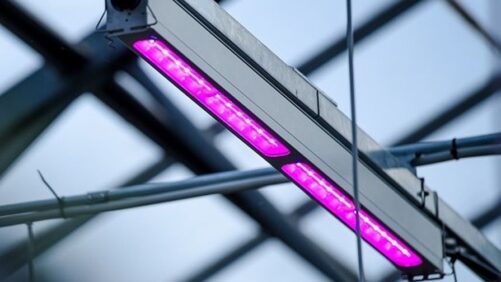 Lighting Company Offers Help in Facilitating Utility Rebate Applications
