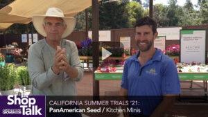 2021 California Summer Trials: PanAmerican Seed’s Kitchen Minis Are Tasty! (Video)