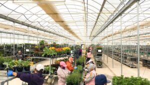 4 Hot Topics on Tap for International Fresh Produce Association Washington Conference