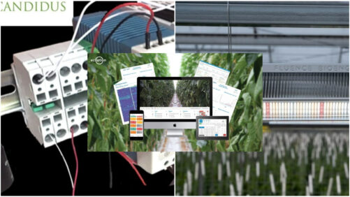 Announcing the Greenhouse Grower 2021 Technology of the Year Award Finalists