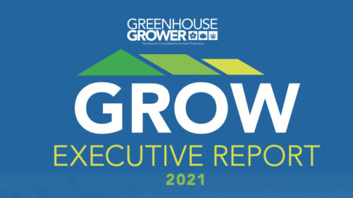 GROW Executive Report: 11 Innovative Greenhouse Leaders on SUCCESS