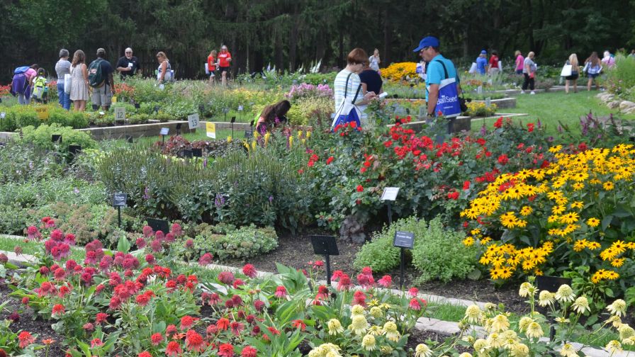 Darwin Perennials Day