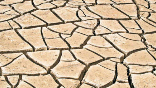 Monrovia Releases New Low Water, High Beauty Guidebook