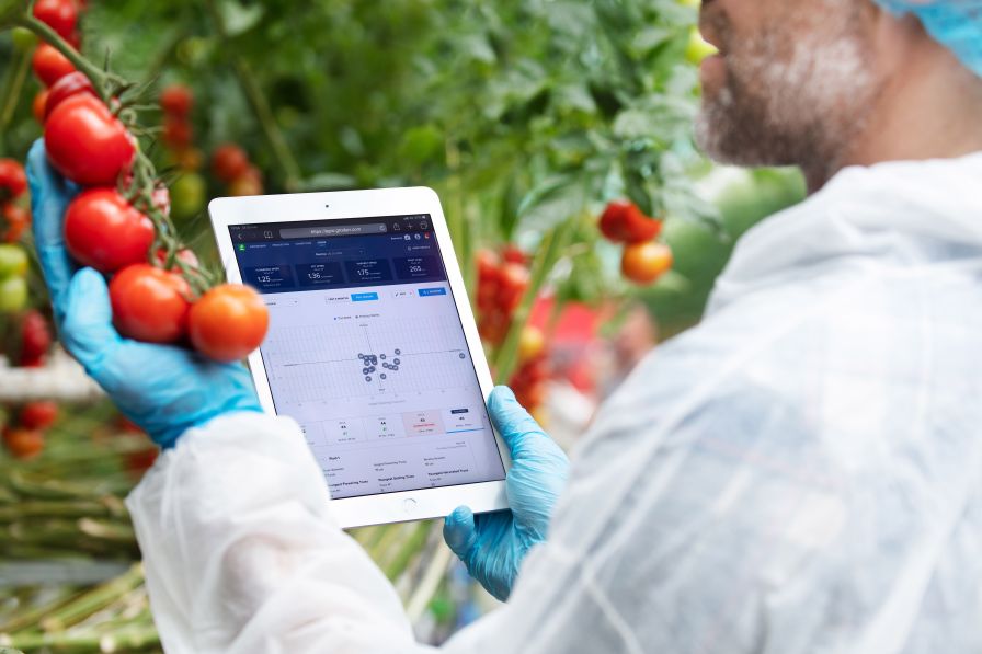 Grodan Greenhouse Data August 2021