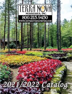 Terra Nova Nurseries catalog