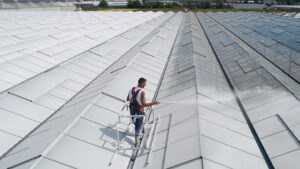 Don’t make the same mistake next summer: be on time with choosing shading?