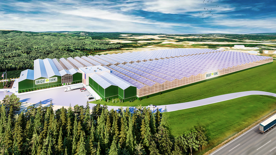 BrightFarms New England Pure Green Farms