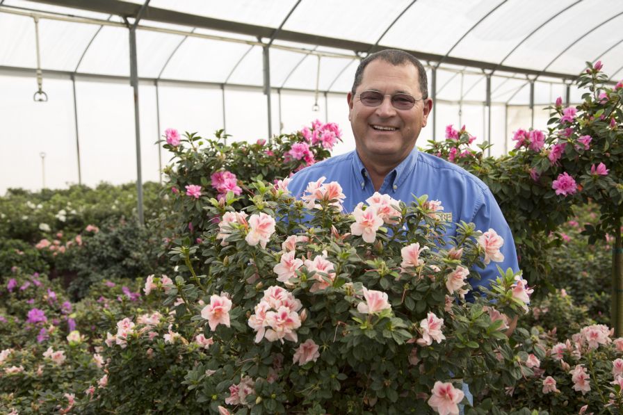Buddy Lee, Plant Development Services