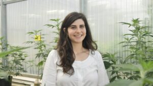 Connecticut Researchers Target Pythium Management in Cannabis