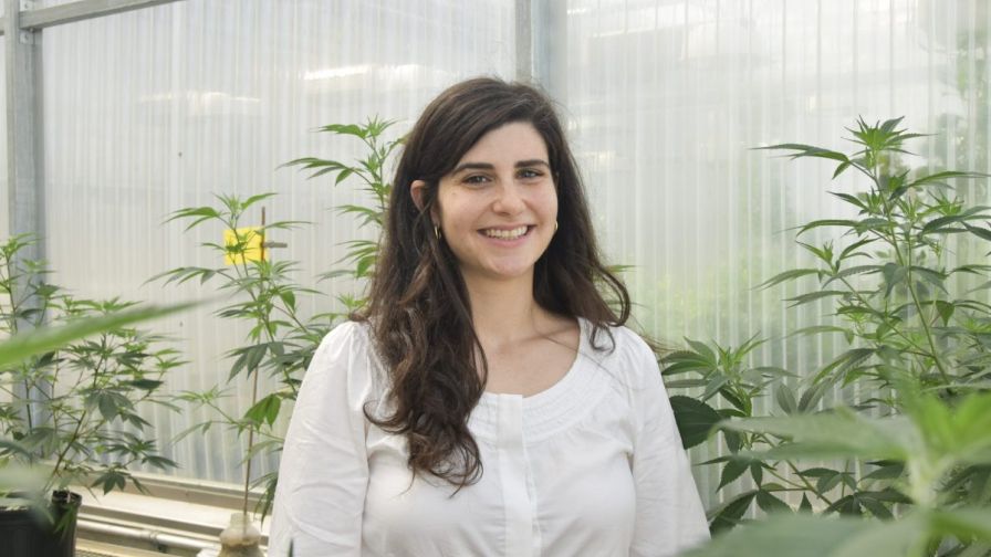 Cora McGehee, UConn Pythium management in cannabis