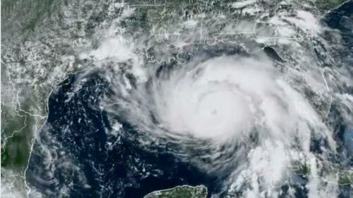 Hurricane Ida Deals Heavy Blow to Horticulture Operations