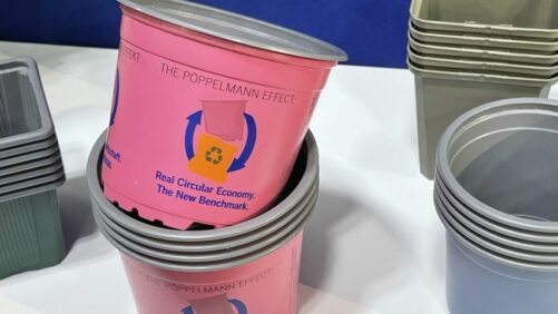 The Present and The Future of Plant Pots, Trays, Containers, and Tags