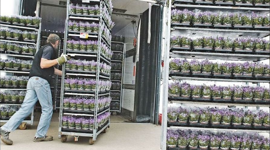 Moving racks full of plants in warehouse