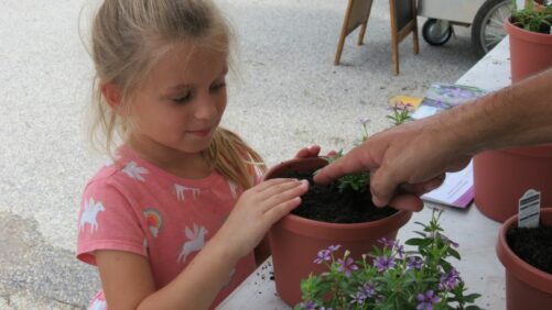 Consumers Plant Soiree Kawaii Combos at Rockledge Gardens