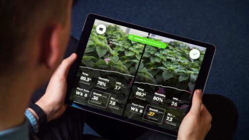 Recent Merger Unites Artificial Intelligence, Management Platform Companies