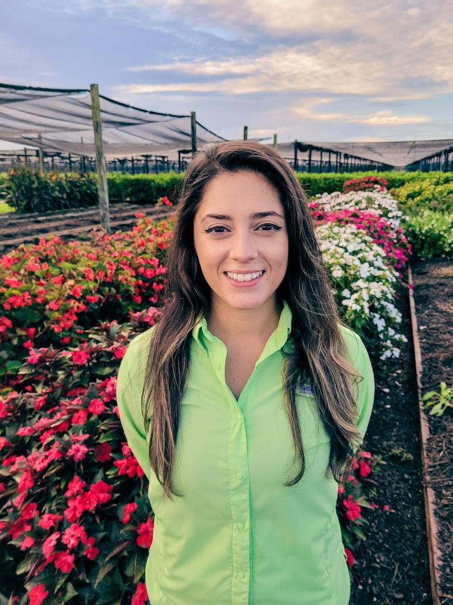 Aise Vahid, Costa Farms